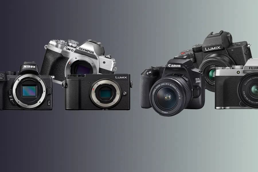 Jaka lustrzanka dla początkującego fotografa - najlepsze modele i porady